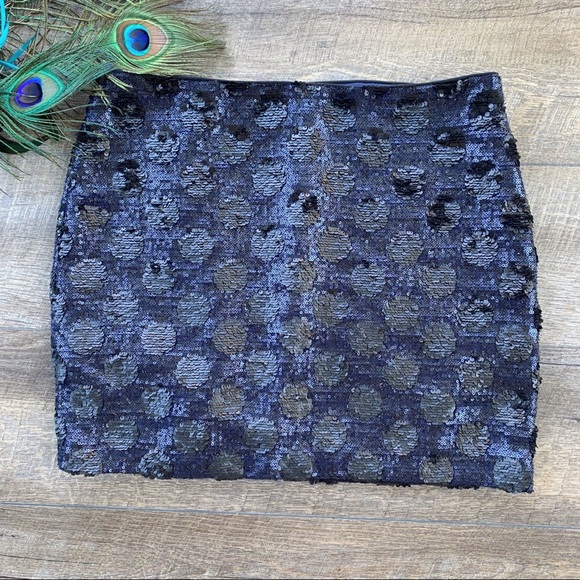 Anthropologie Dresses & Skirts - Anthropologie—Broadway & Broome—Sequin Skirt